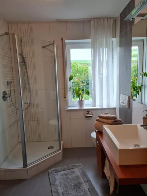 Ferienwohnung Panoramablick Bad Mergentheim Dış mekan fotoğraf